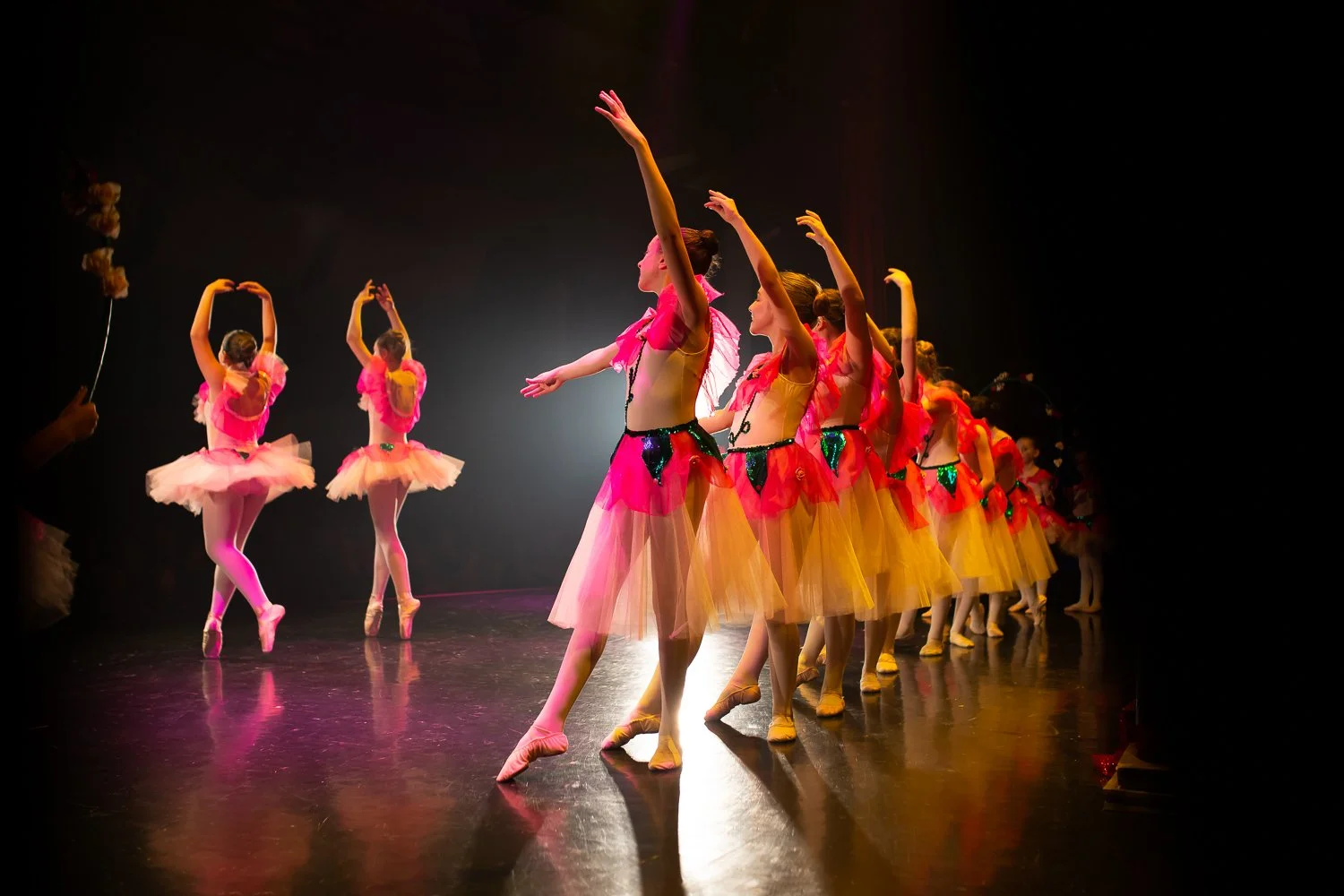 Spect-ballet-Anna-7-8dec_laetitiaphotographe-0890-Modifier.jpg