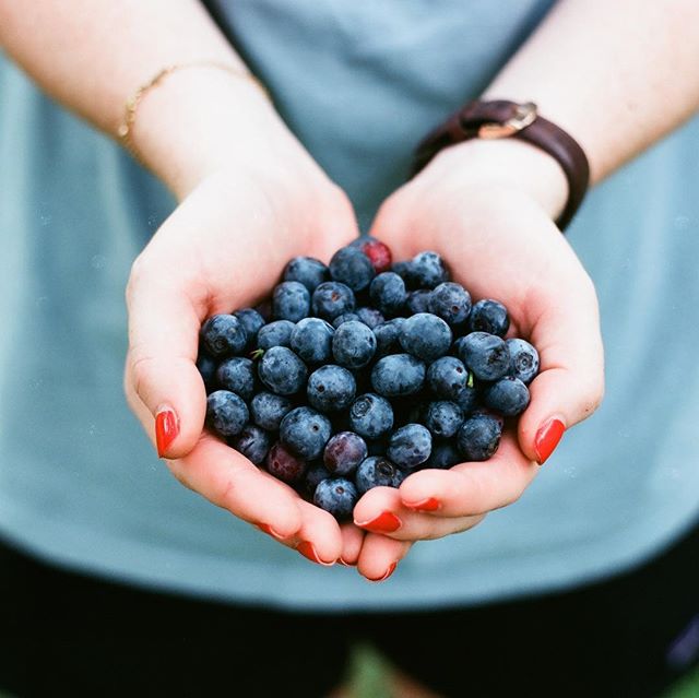 It’s National Blueberry Pie Day! How are you celebrating?!