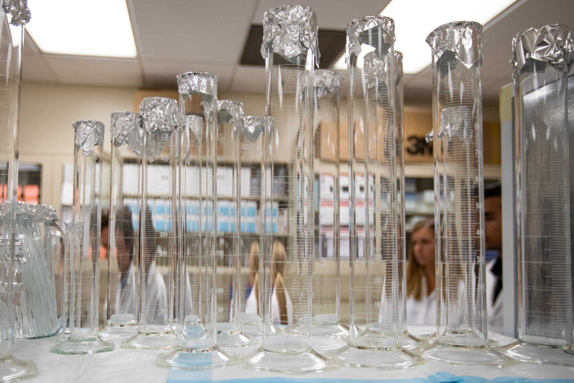 2018_0718_2018_0718_Nucleic_Acids_research-35.jpg