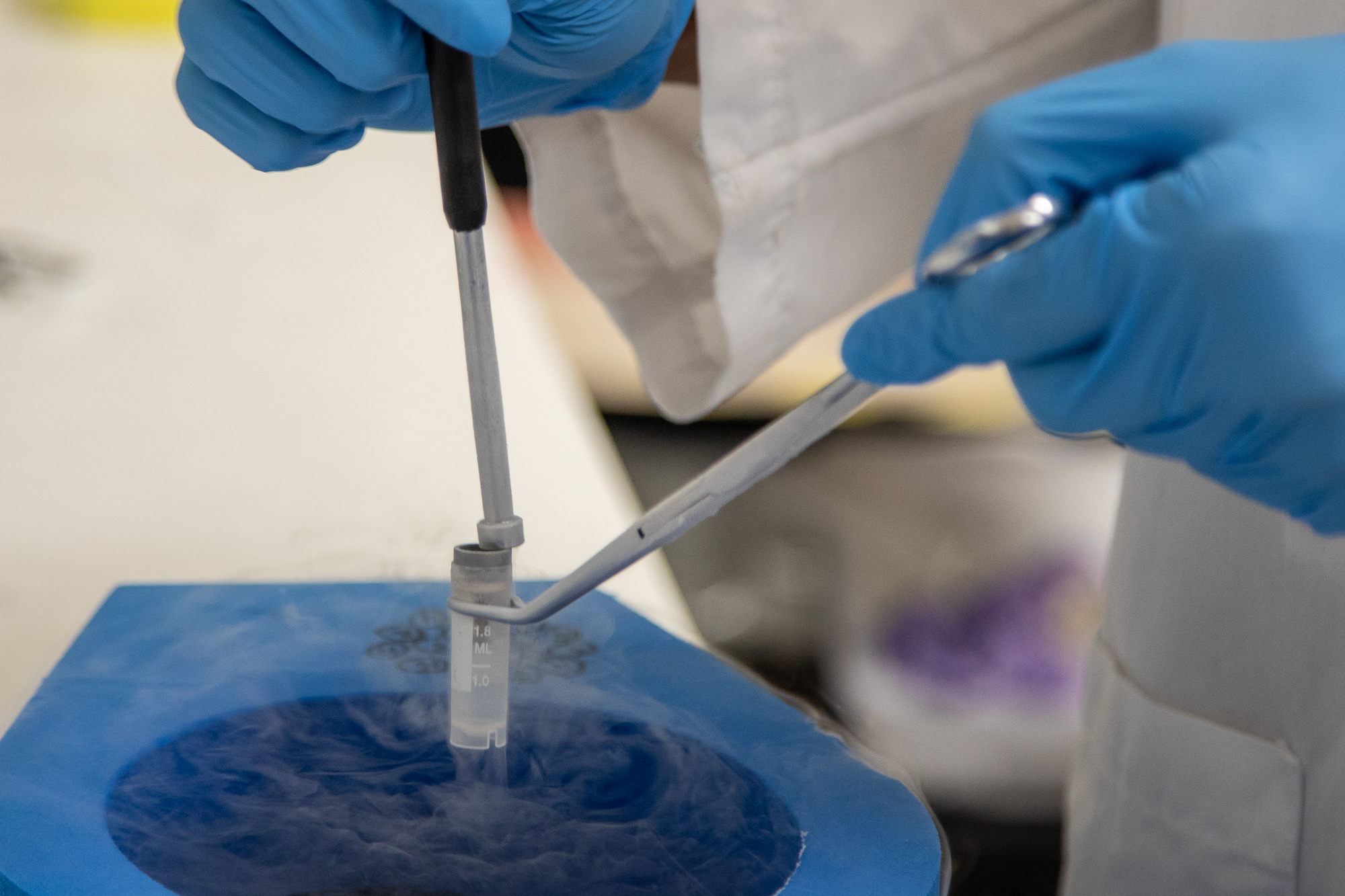 2018_0718_2018_0718_Nucleic_Acids_research-128.jpg