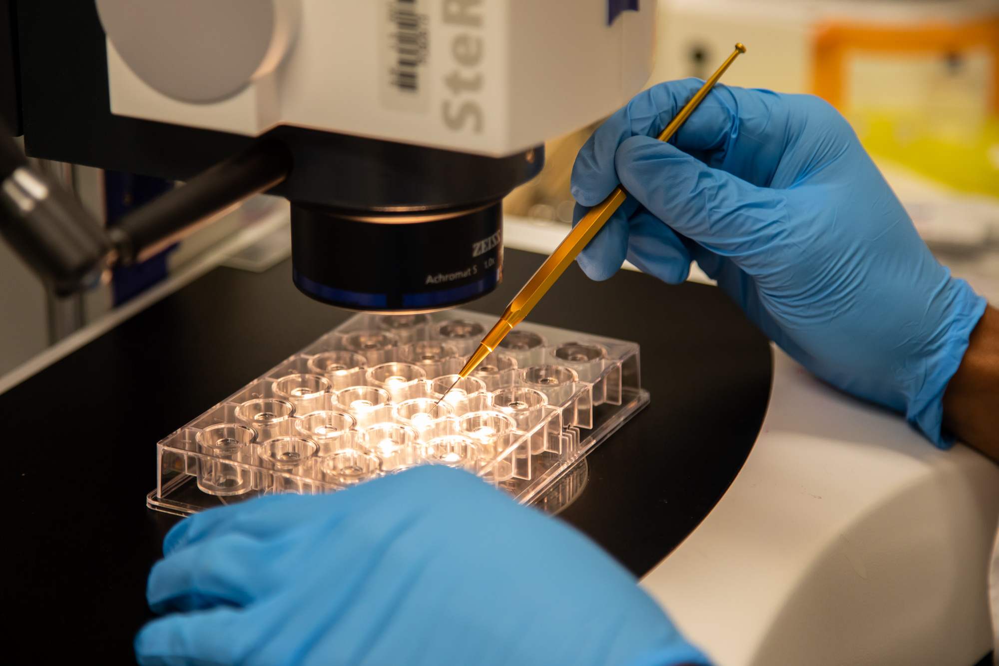 2018_0718_2018_0718_Nucleic_Acids_research-187.jpg