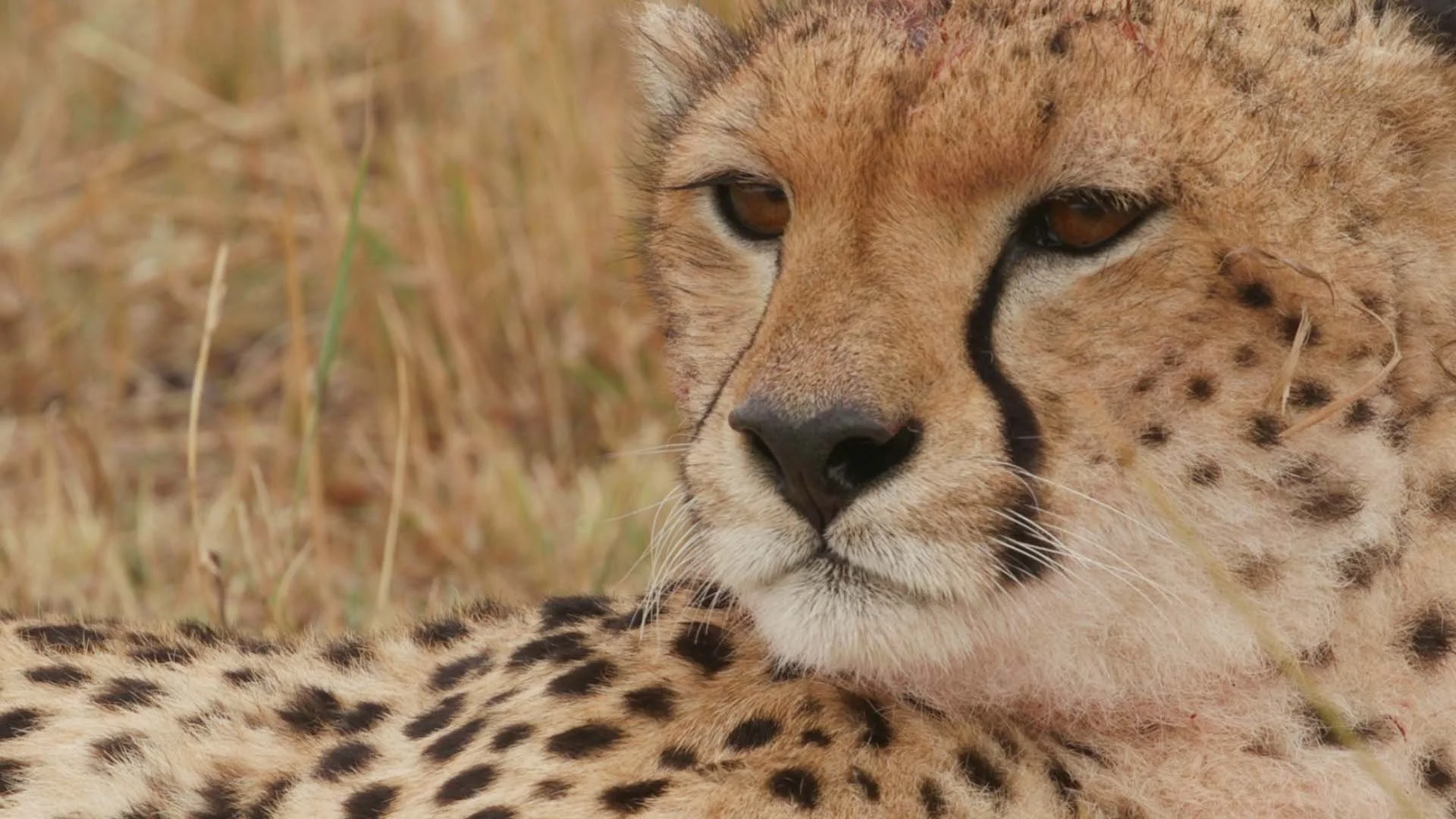 Kenya+Open+Still.jpg