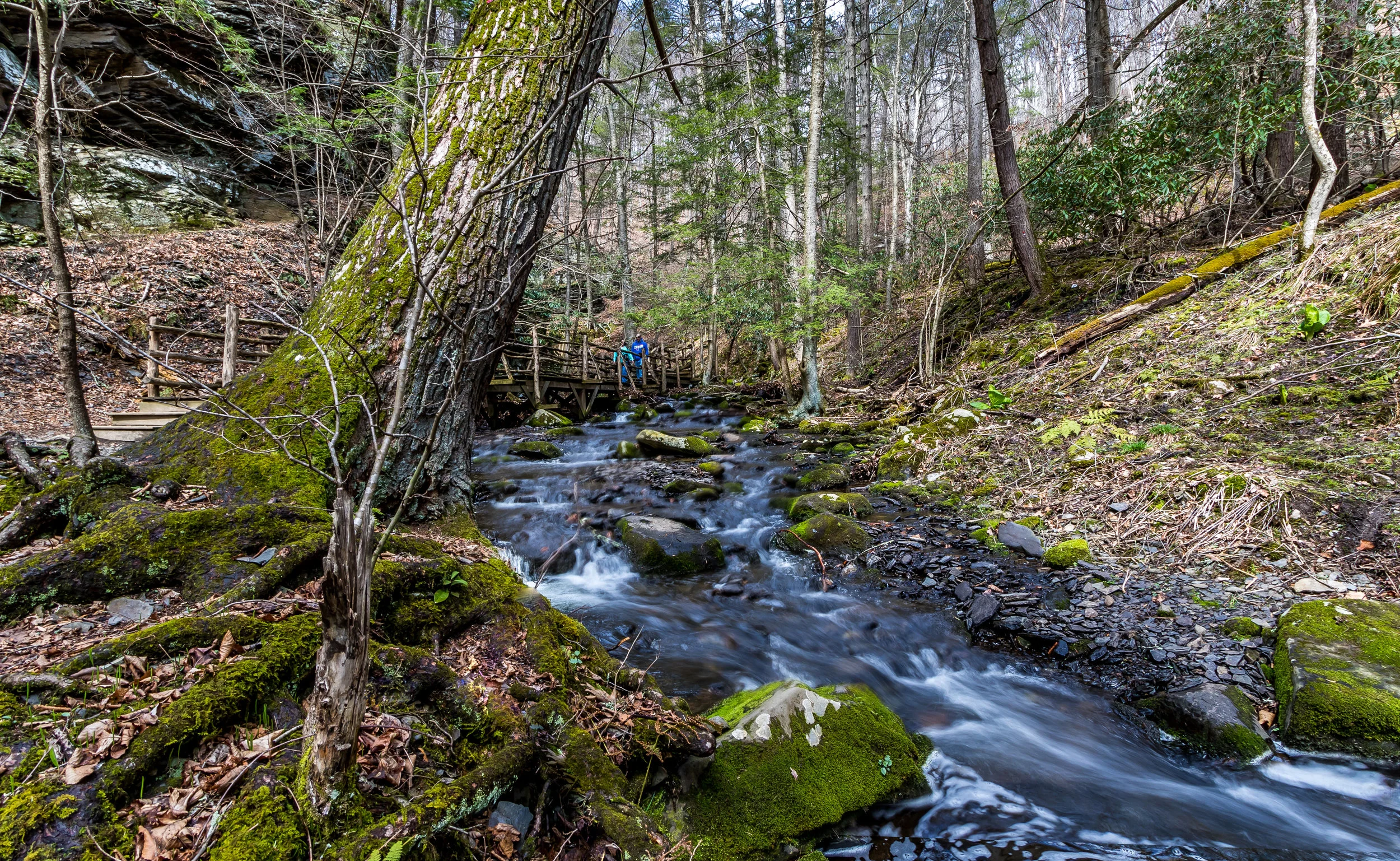 Stream in Bushkill Falls