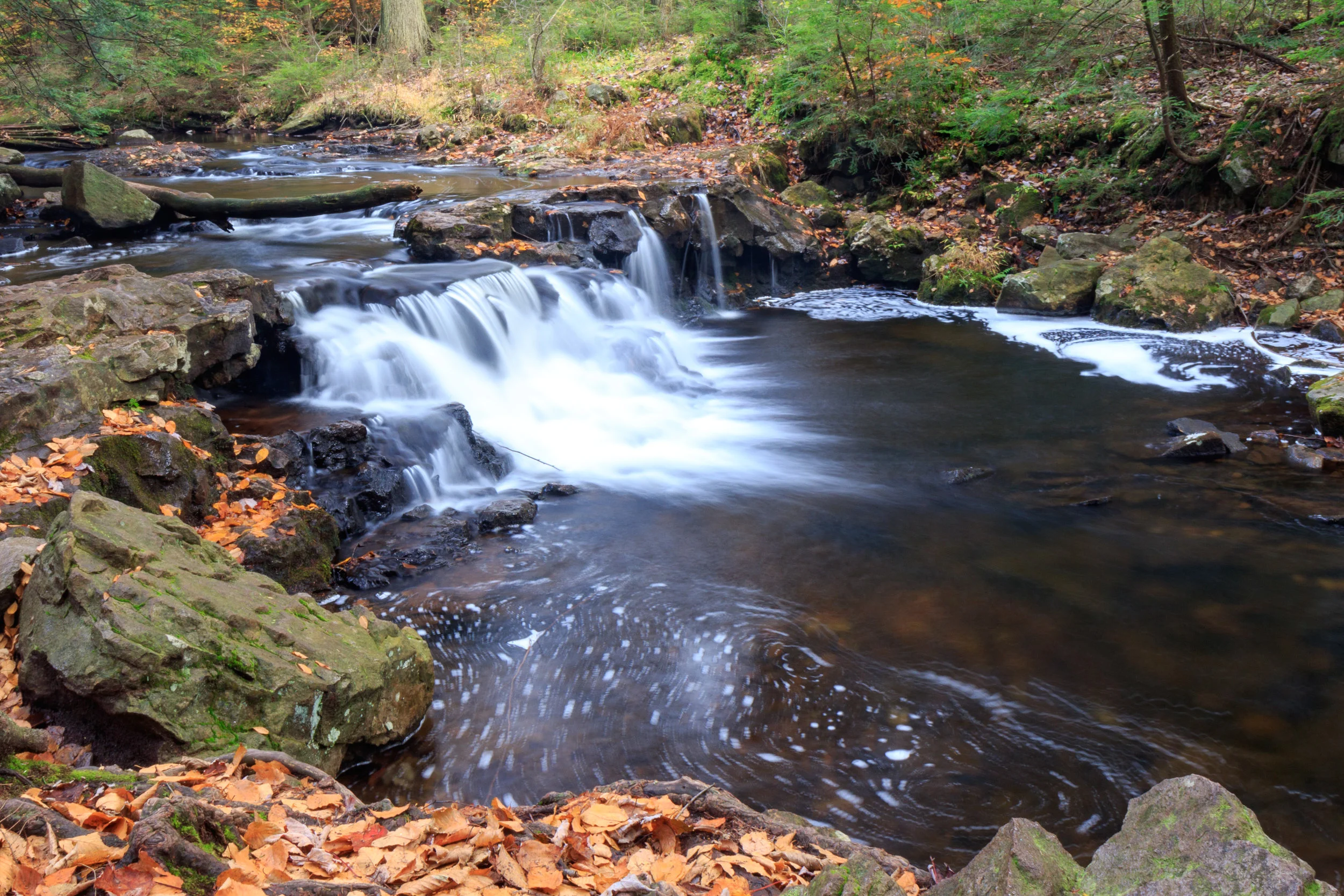 Ricketts Glen State Park