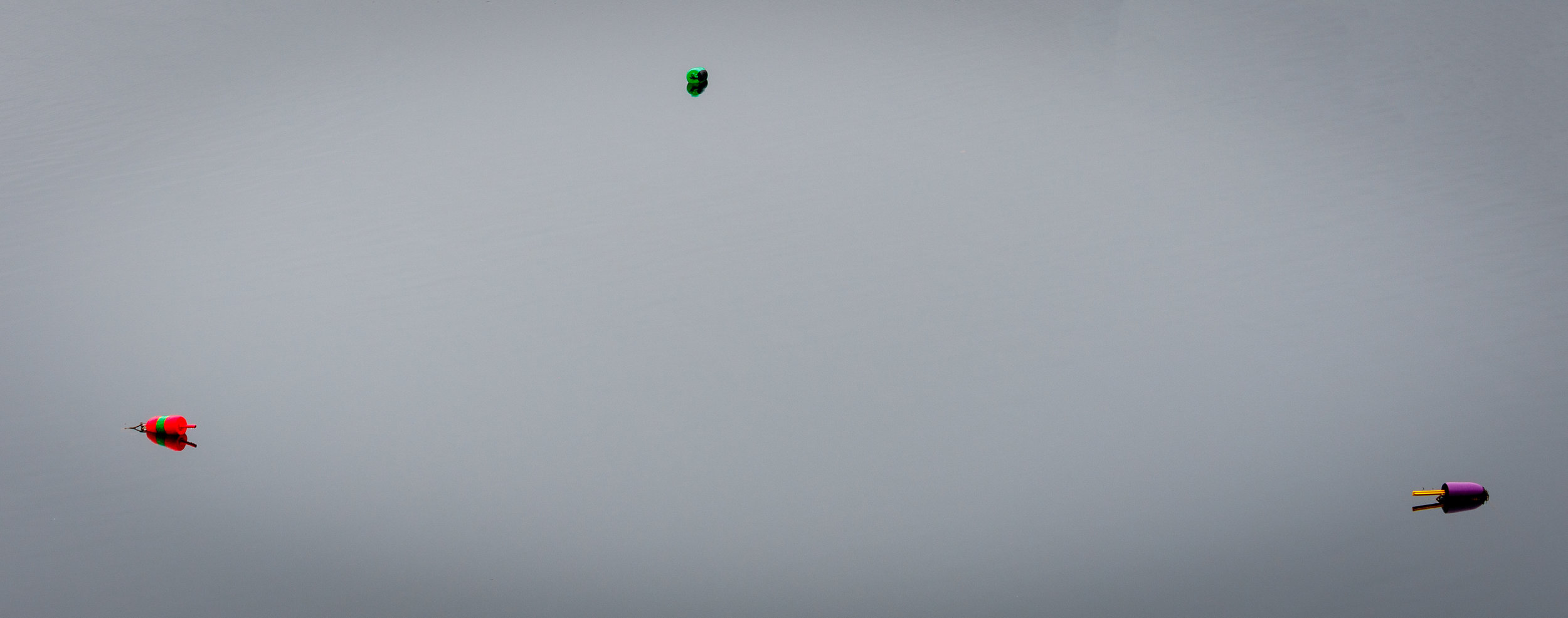  Three colorful buoys in Somes Fjard.  It was very foggy and a light rain was falling as I captured this.  What should out was how vibrant the colors of the buoys were compared to how muted everything else was. 