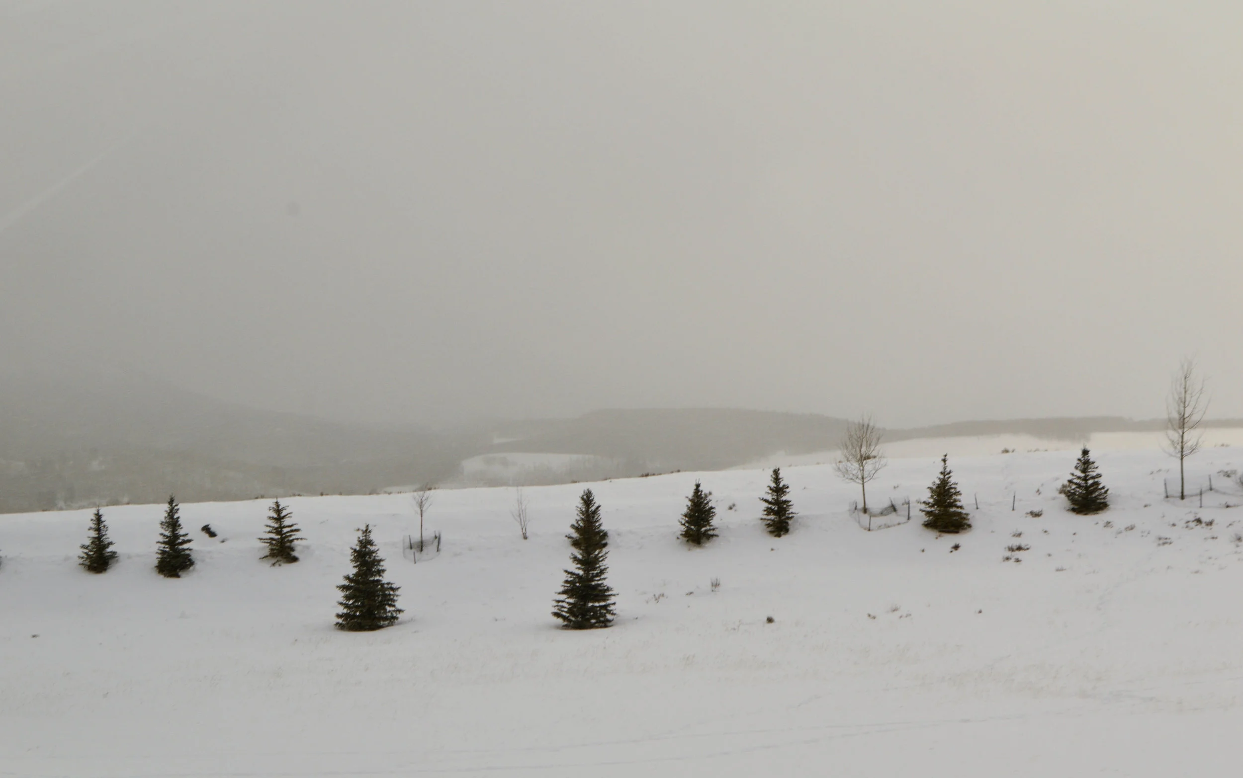 DSC_0338.jpg