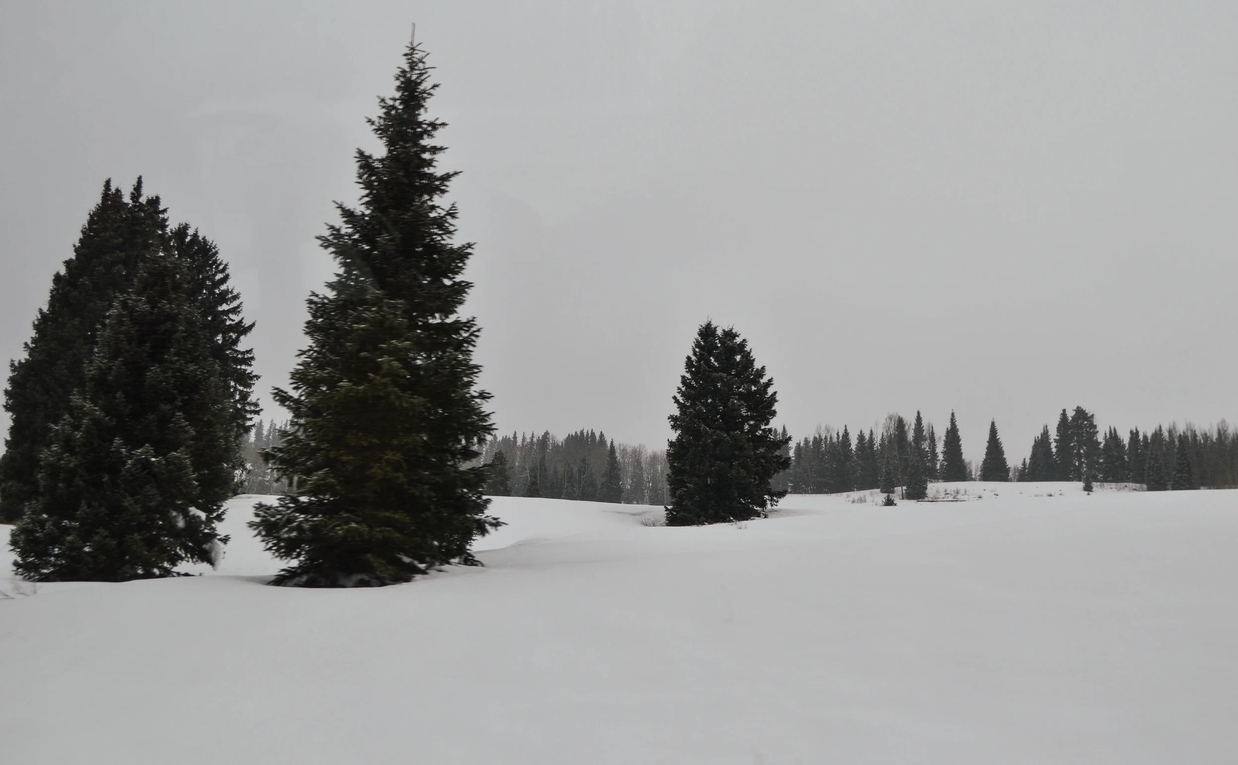 DSC_0368.jpg