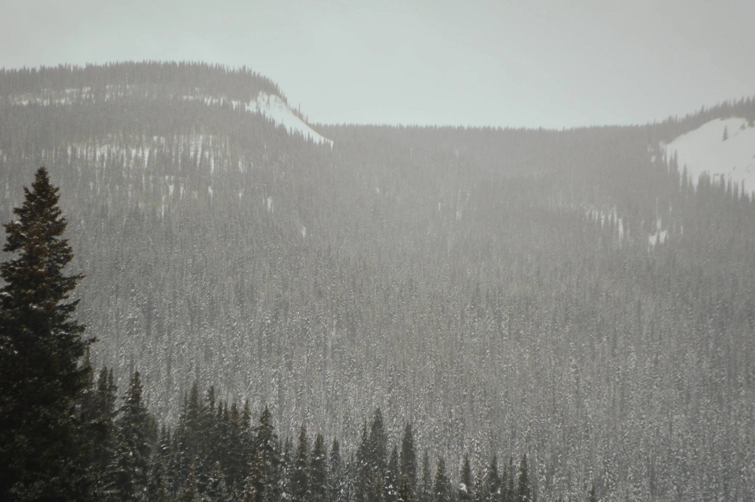 DSC_0363.jpg