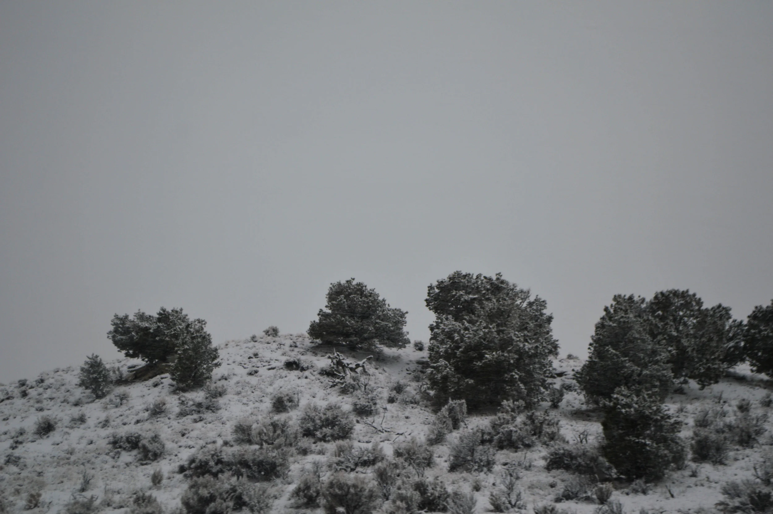 DSC_0392.jpg
