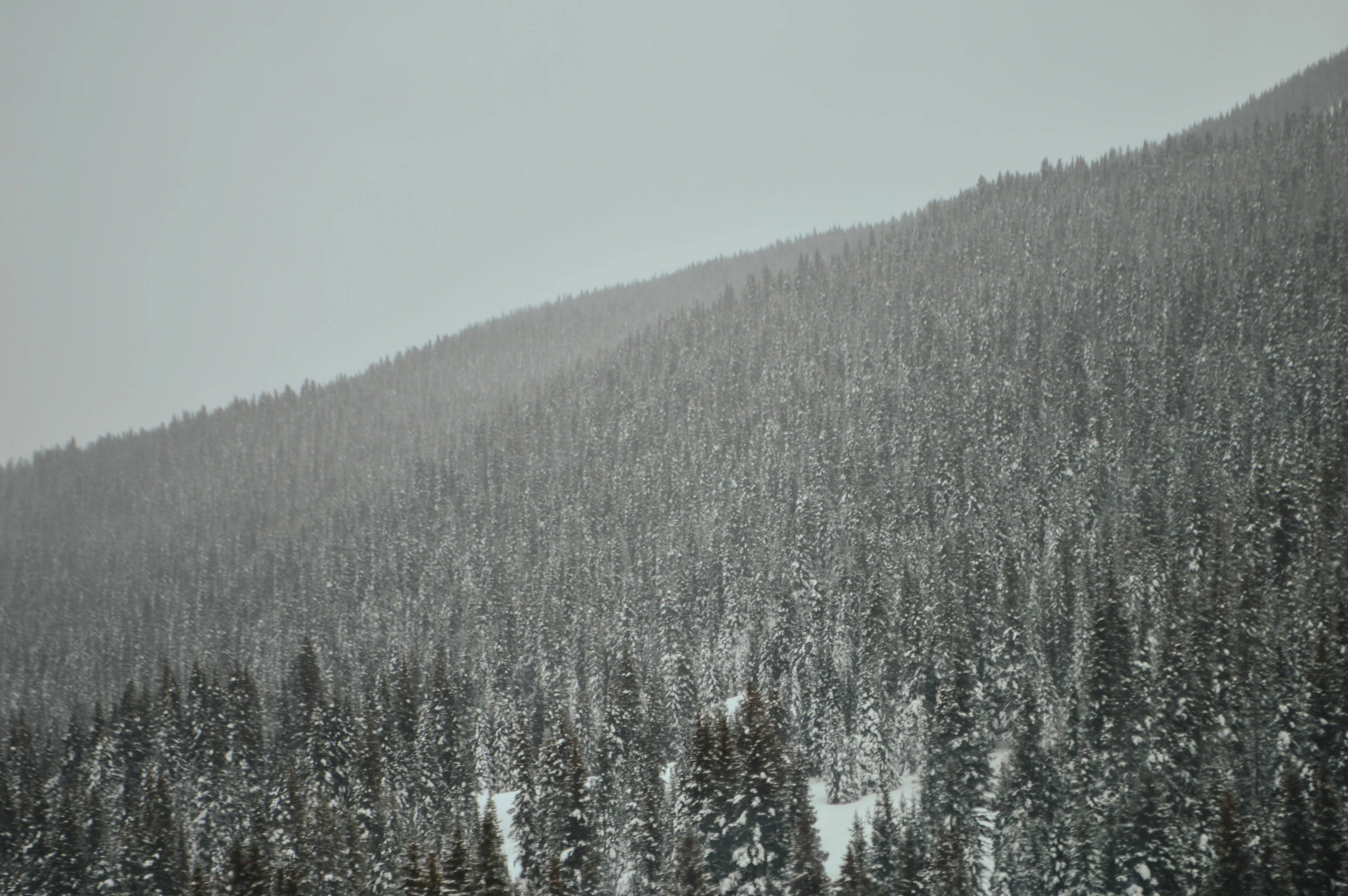 DSC_0373.jpg