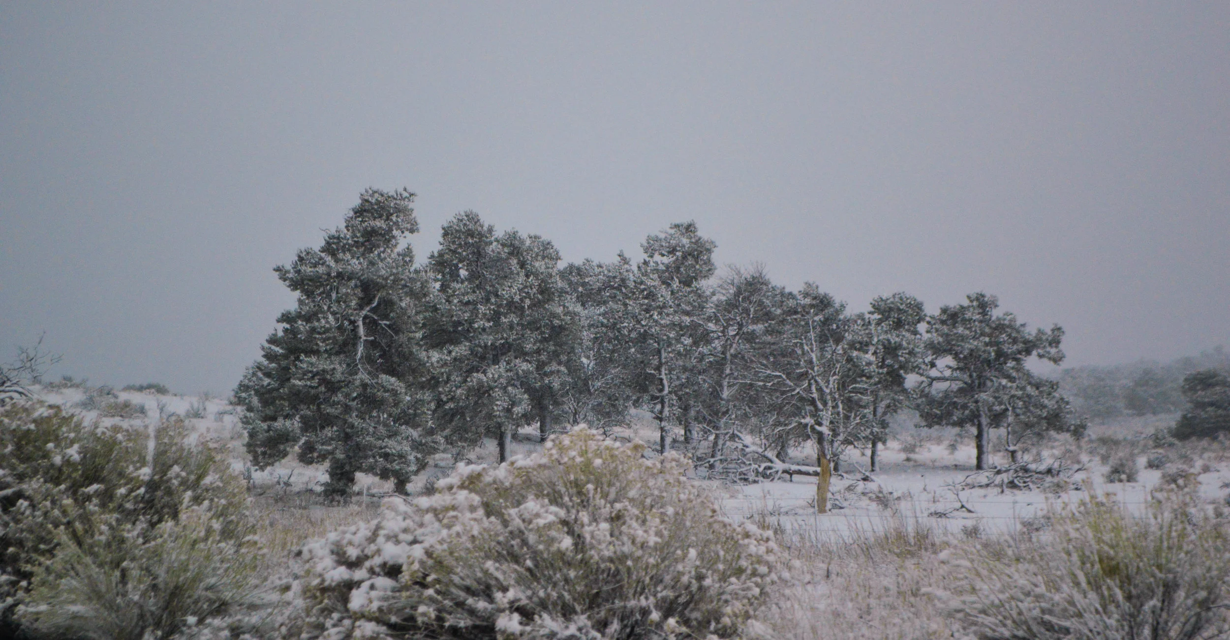 DSC_0410.jpg
