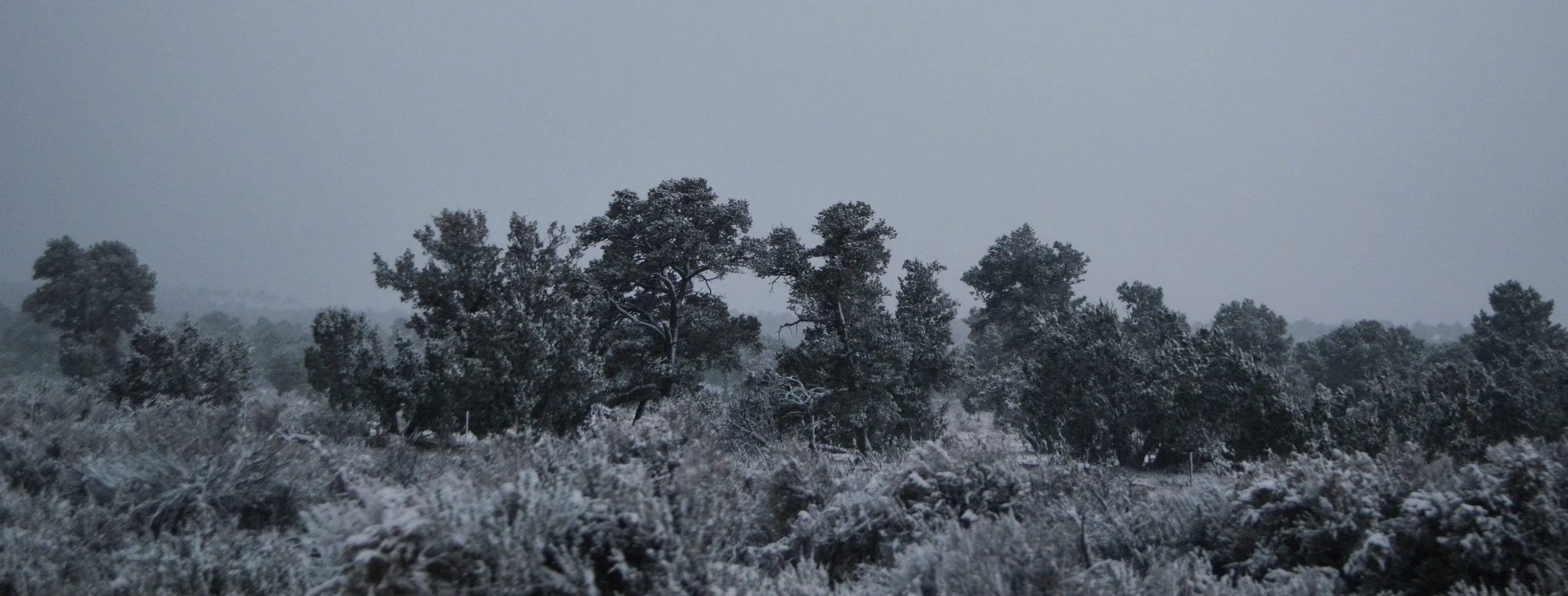 DSC_0415.jpg