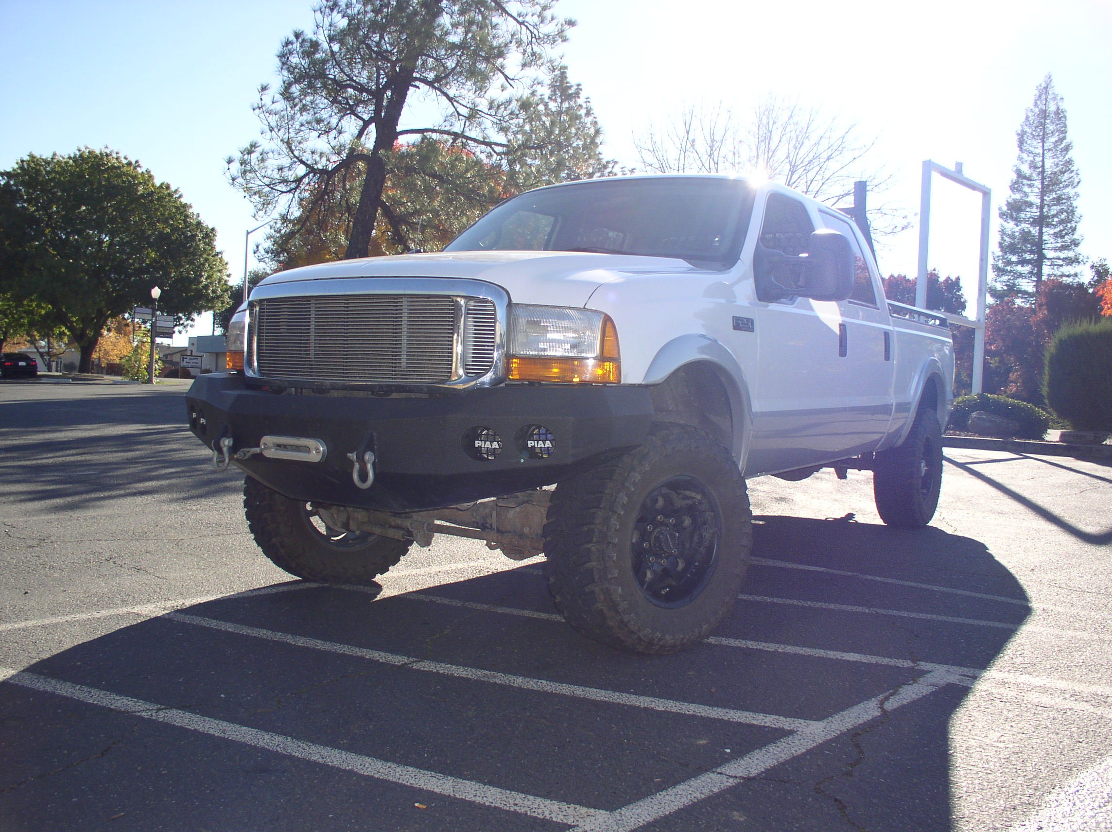 Picture 007.jpg