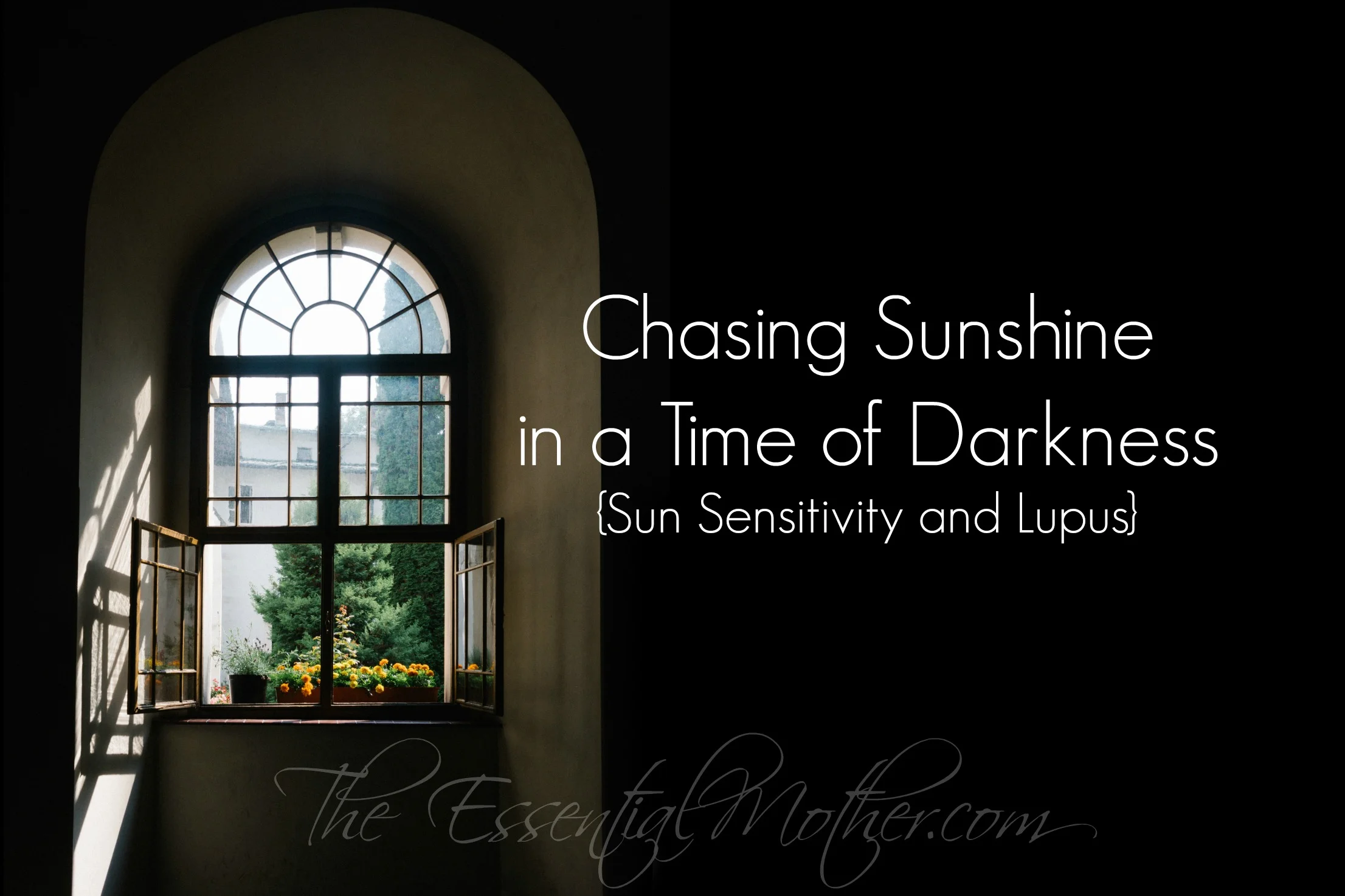 sunshinedarkness1.jpg