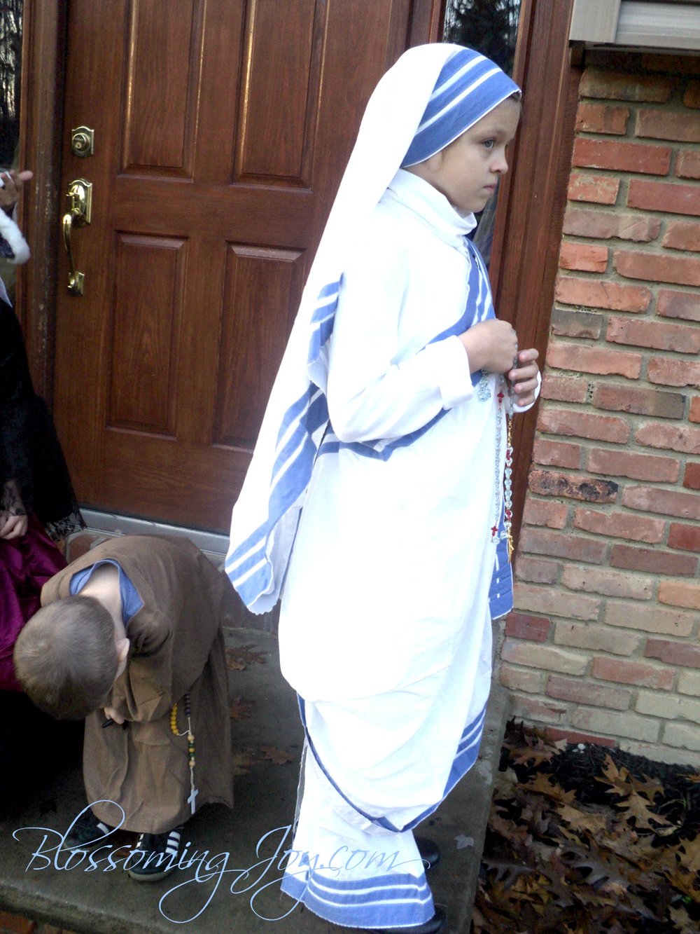 mother+teresa+costume+3.jpg