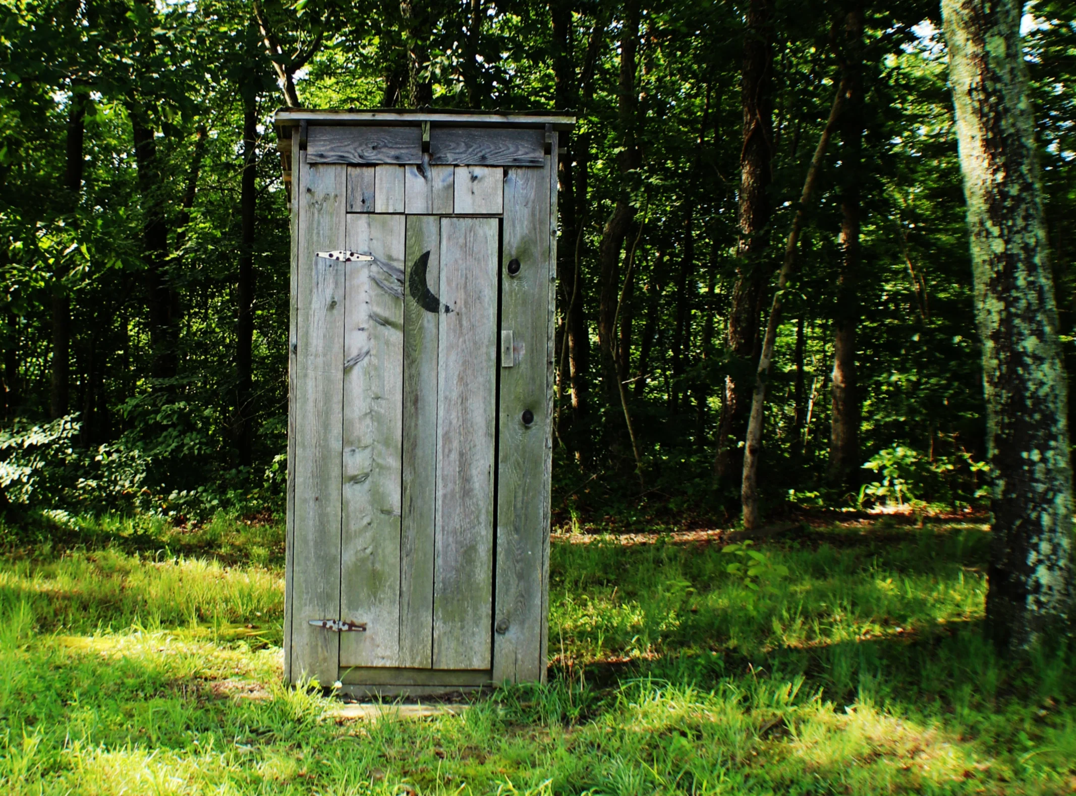 Potty Training.jpg