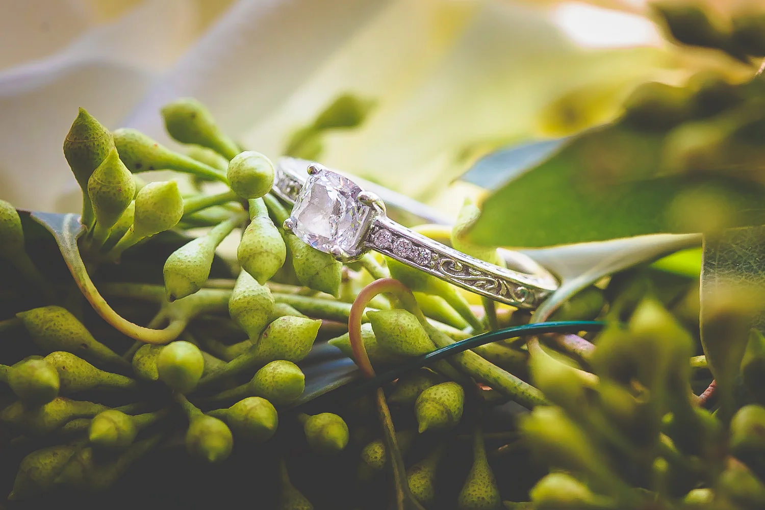 JBWed-1.jpg