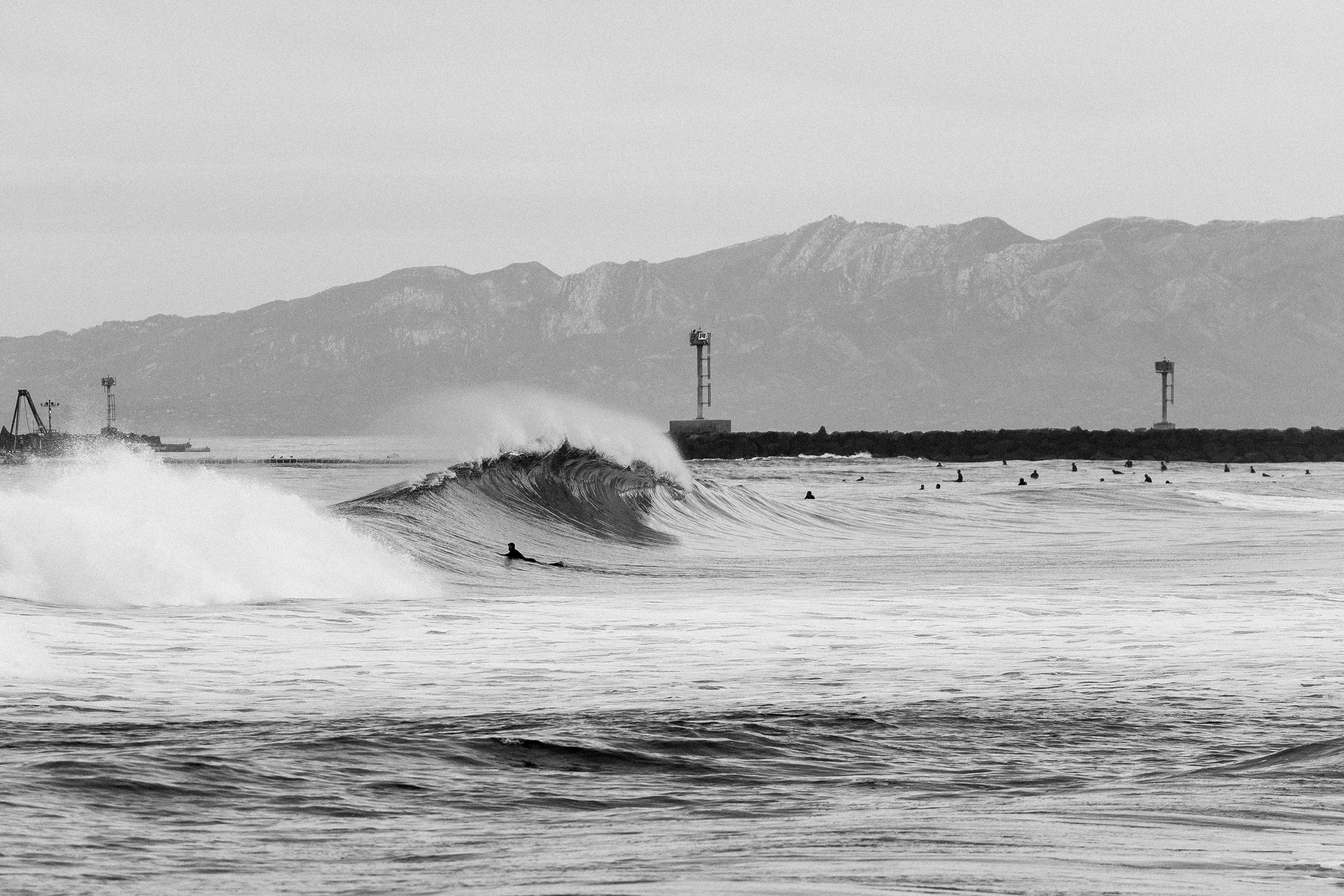 Silver Strand Beauty.jpg