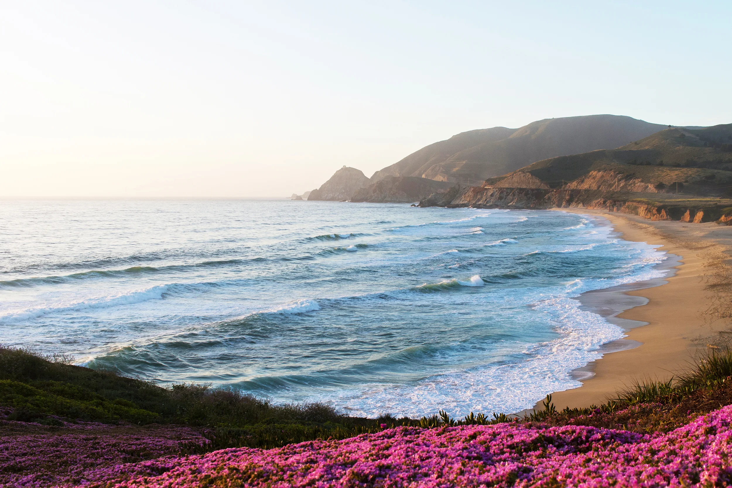 Montara Flower Patch.jpg