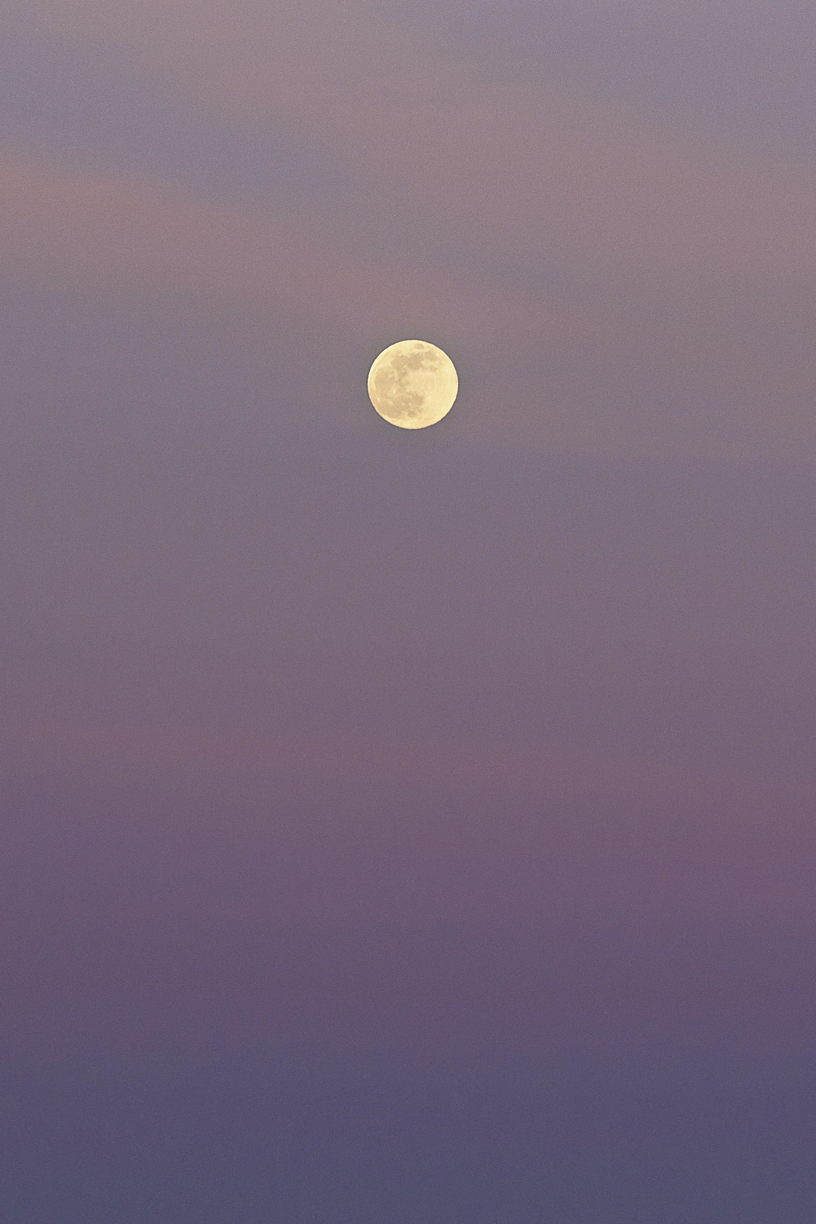 Strawberry moon vertical crop.jpg