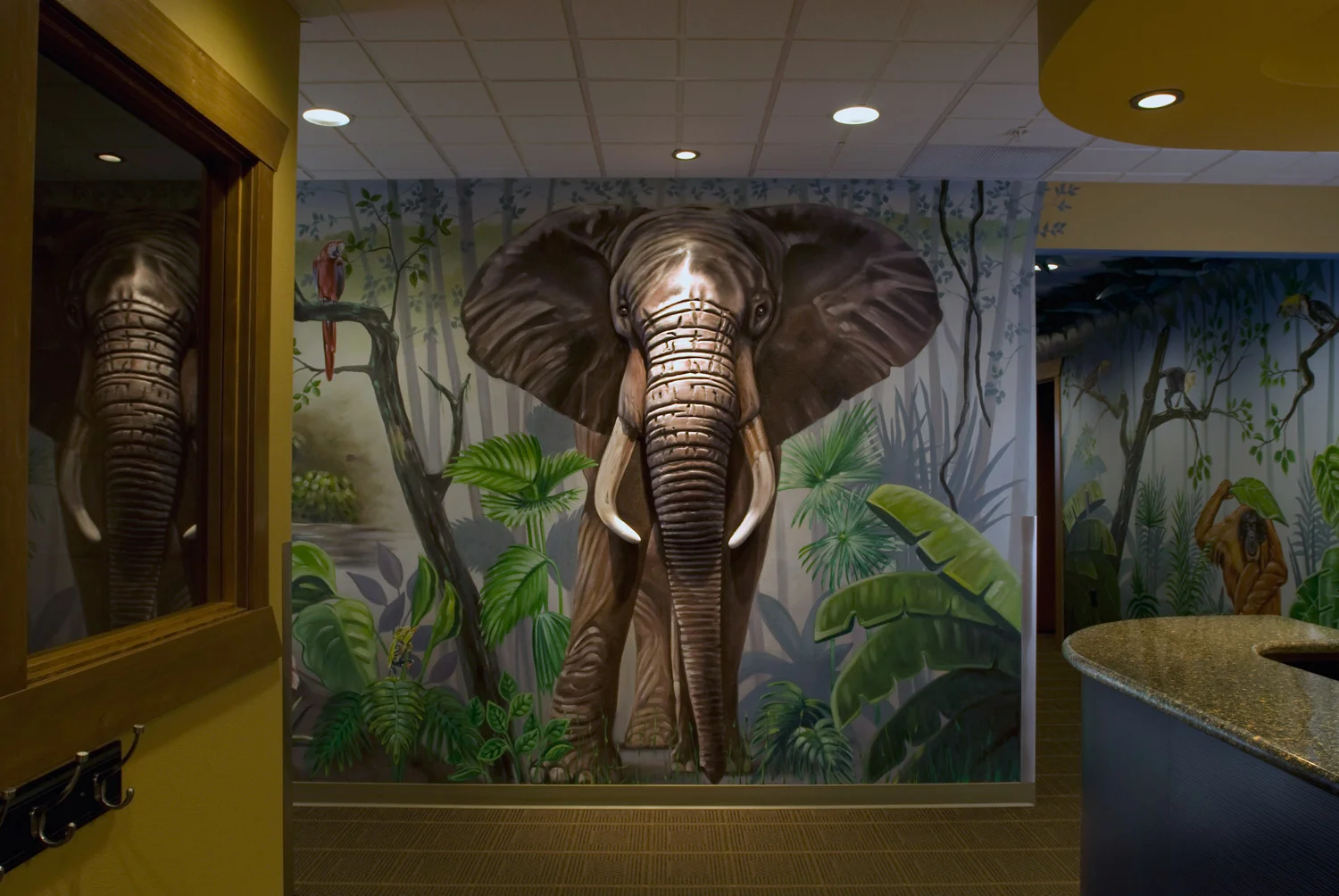 childrens dental village