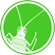 icon_cricket_small (1).gif
