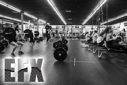 EveryDay+Fitness+Redding+CA+EFX+Training-(1).png