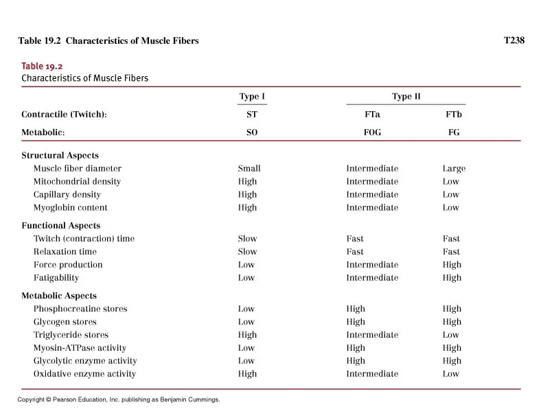 Source: Plowman & Smith, Exercise physiology: for health, fitness, and performance, 2nd Ed - Tab 19-2