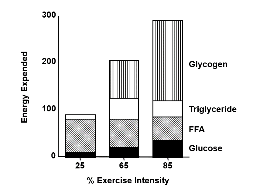 The effect of exercise intensity of fuel utilisation. Source: Romijn et al. 1993