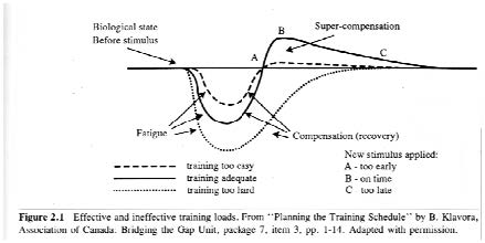 High performance training for track and field, Bowerman & Freeman 1991