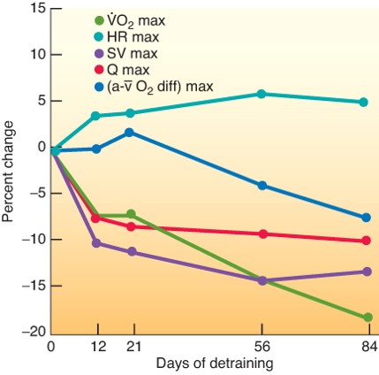 Detraining effects. Source: Coyle et al (1984)