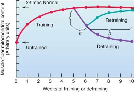 Source: Powers & Howley (2012)