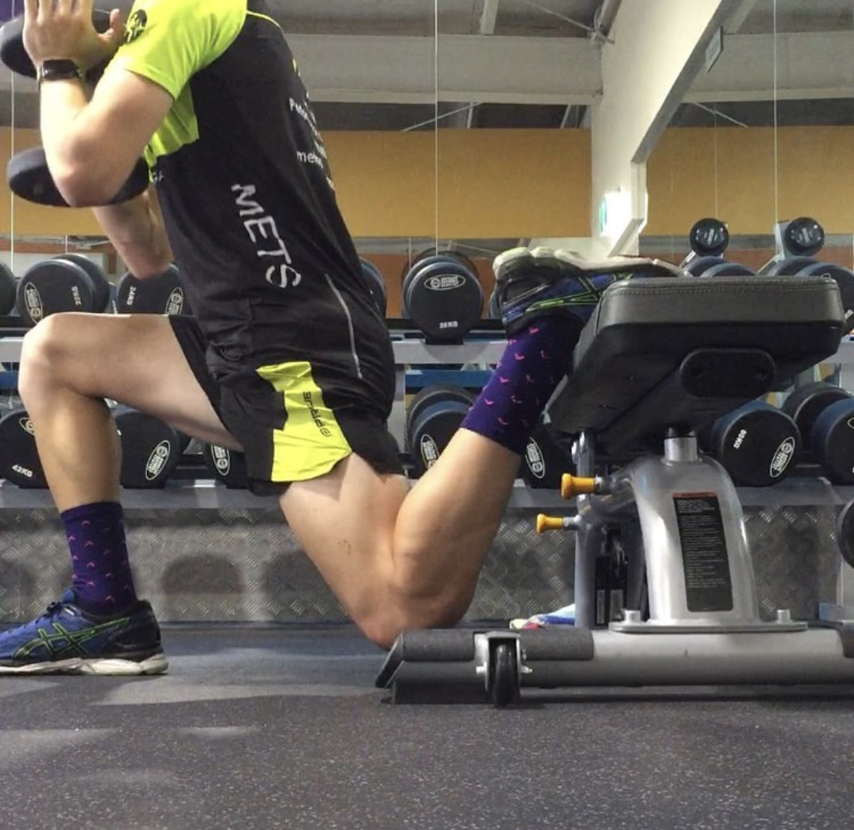 Image 2 - The Bulgarian Split Squat.