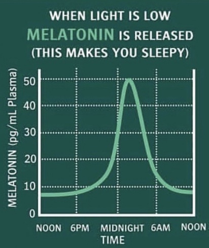 Image 3 - The Melatonin response to light source throughout the day. (Source: Science for Sport)
