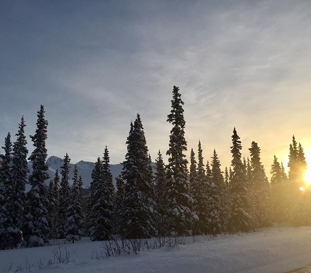 #tbt #denali #alaska #sunset or maybe #sunrise?...it's winter, only 3.5 hours of daylight up there...