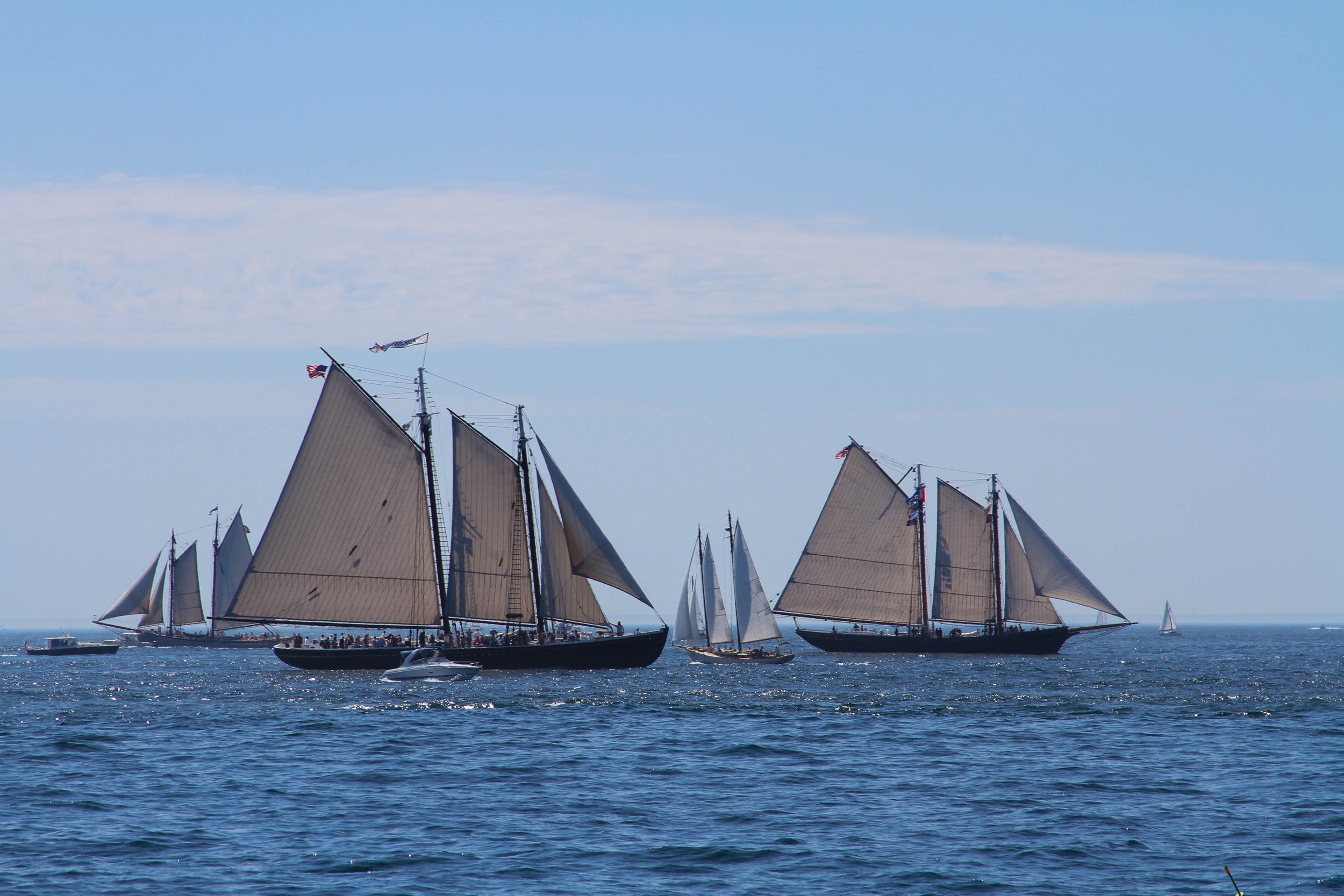 IMG_6427.jpg