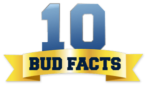10 BUD FACTS — Bud Billiken Parade