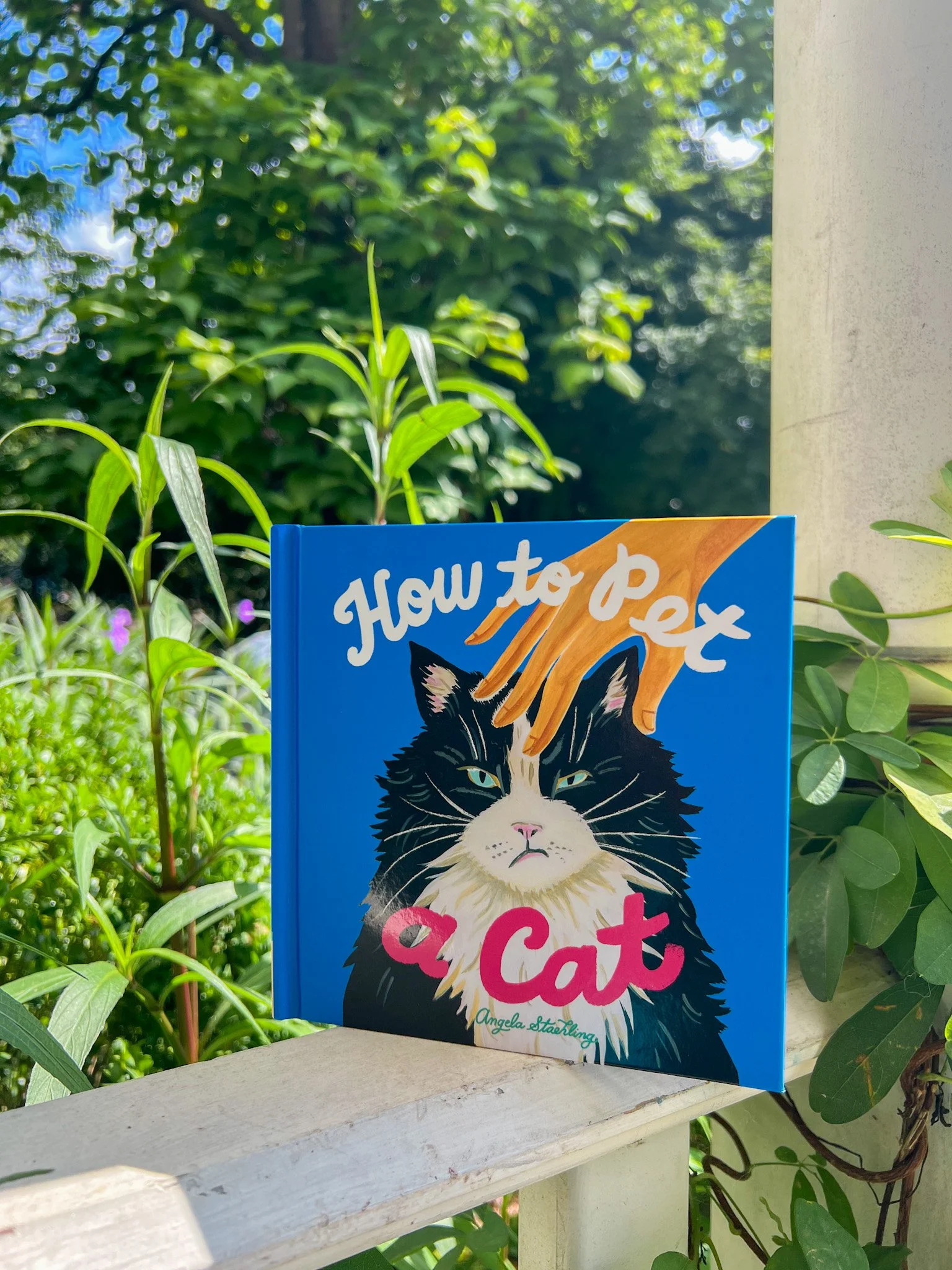 cat book.jpg