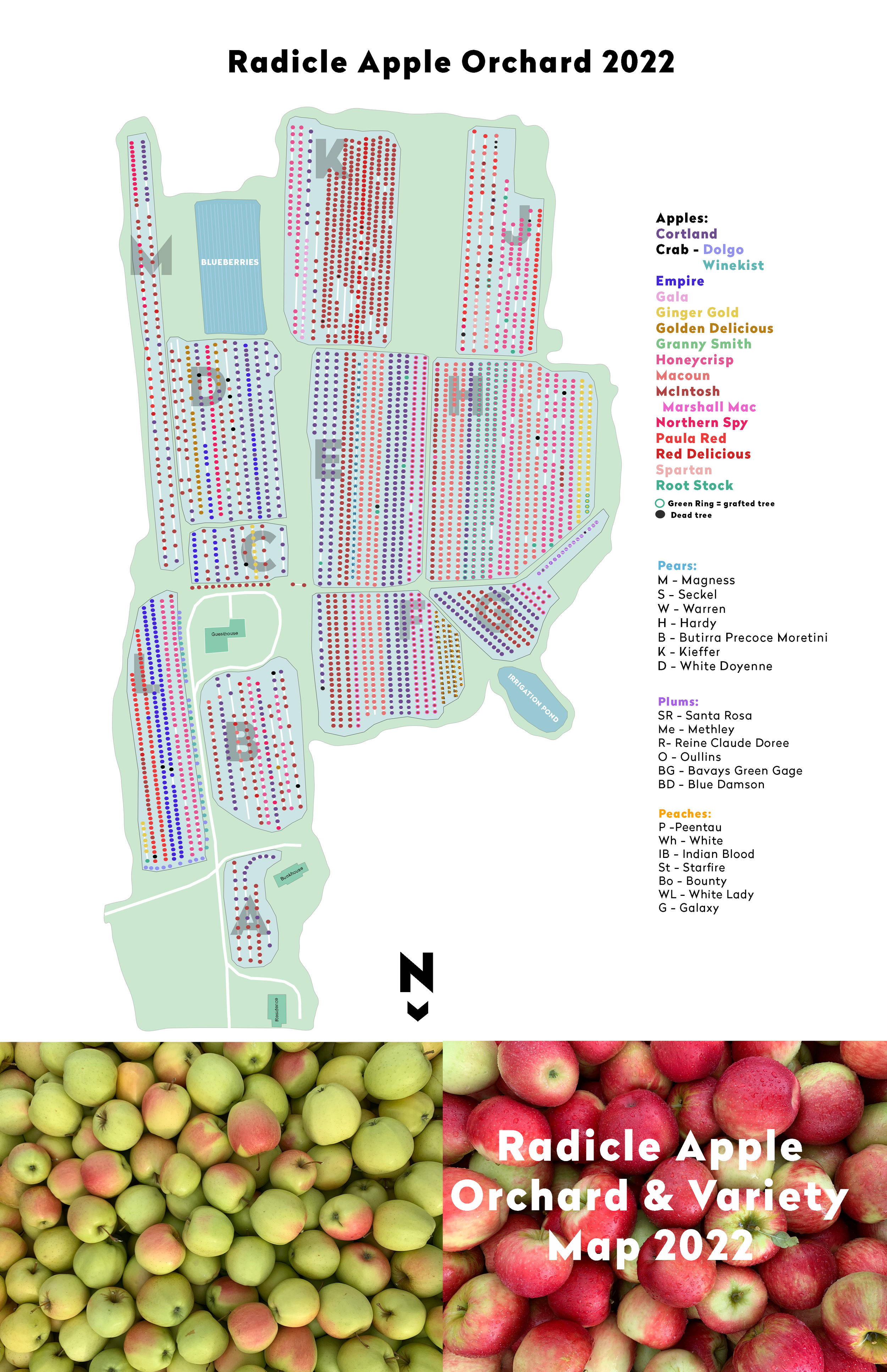 apple map block letter draft 10.24.png