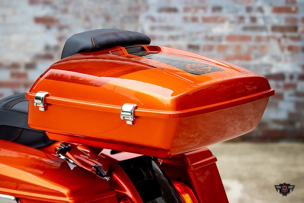 VECTOR-18.jpg