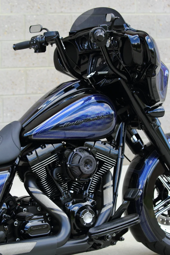 JPEG - 2015 FATTY - NEW PICS 016.JPG