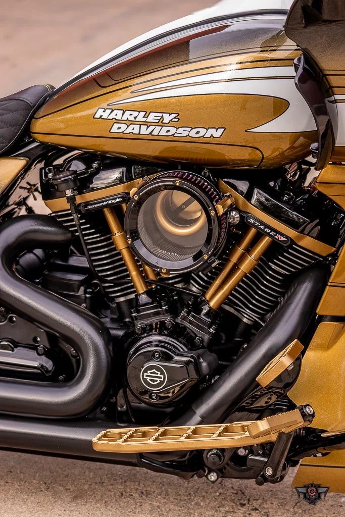 CHUCK NORRIS ROAD GLIDE-28.jpg