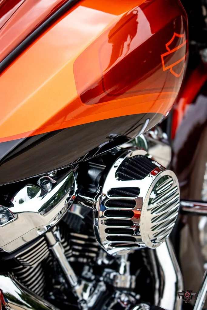 VECTOR-28.jpg