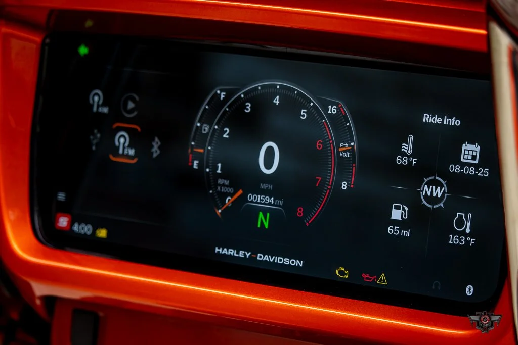 VECTOR-33.jpg
