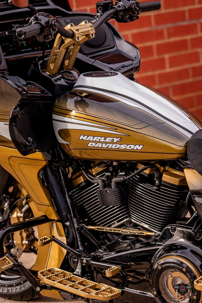 CHUCK NORRIS ROAD GLIDE-15.jpg