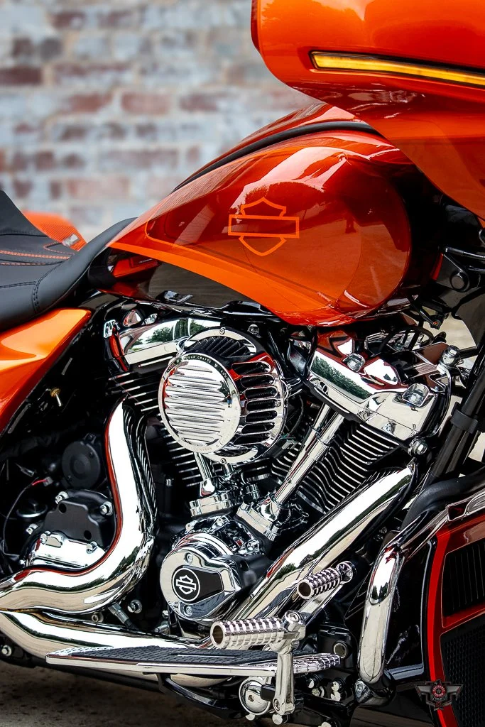 VECTOR-45.jpg