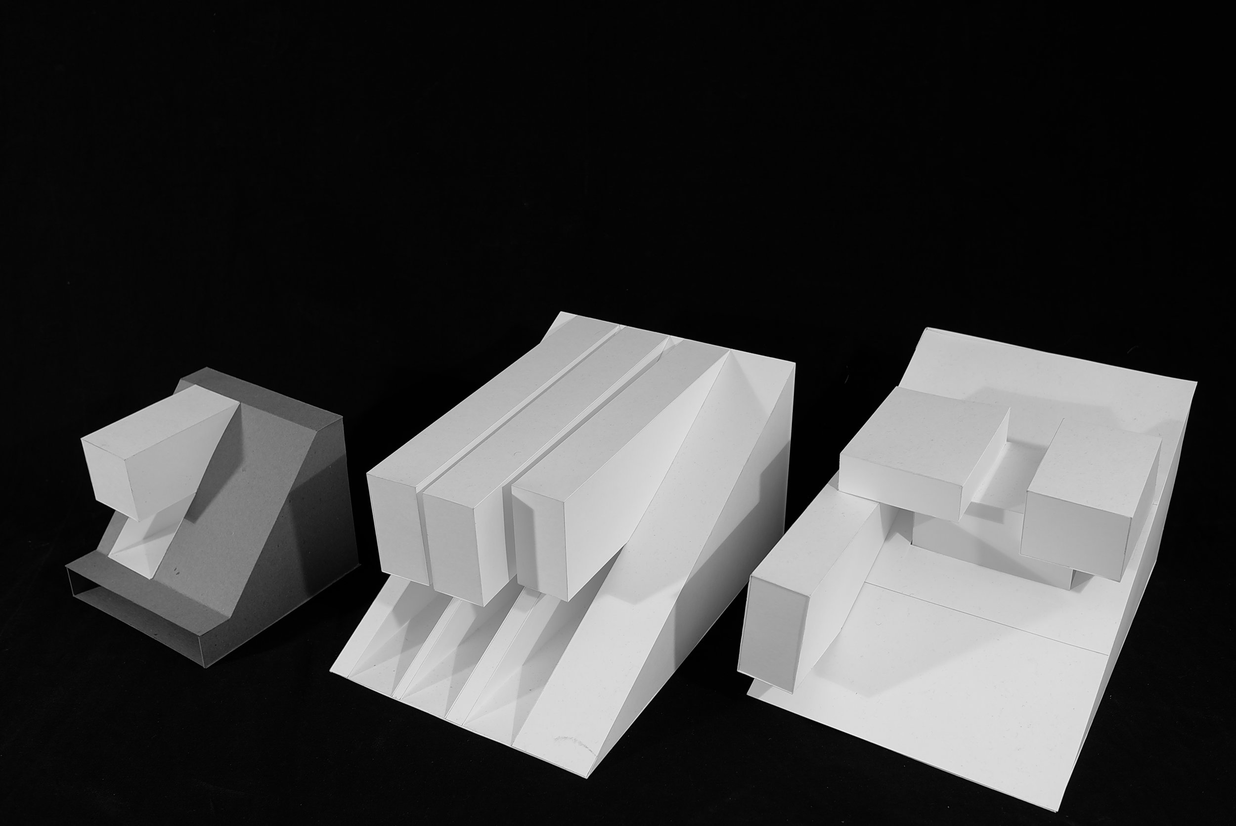Study Model