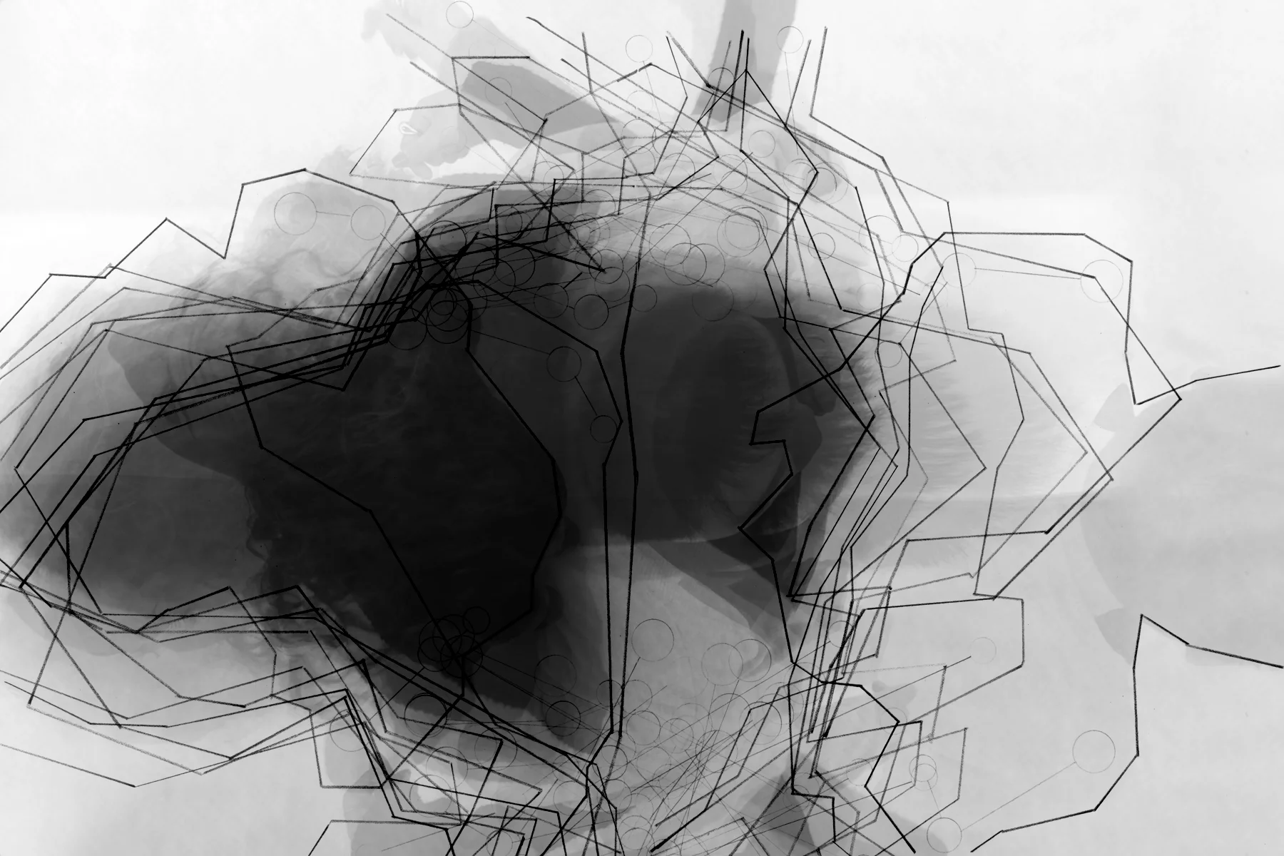 Filmstrip images with notations