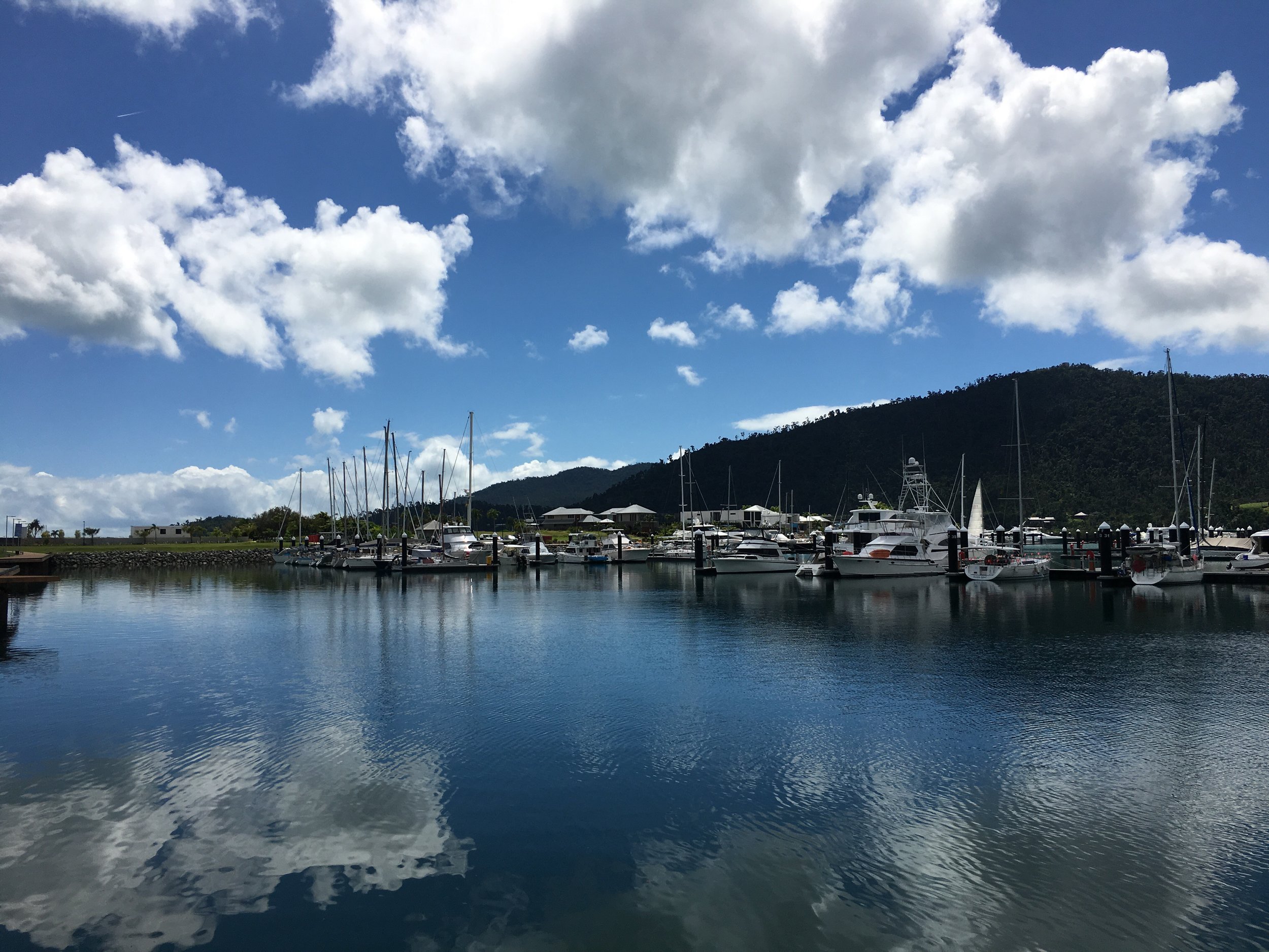 Airlie Beach Harbor, March 2019, A. McCarthy
