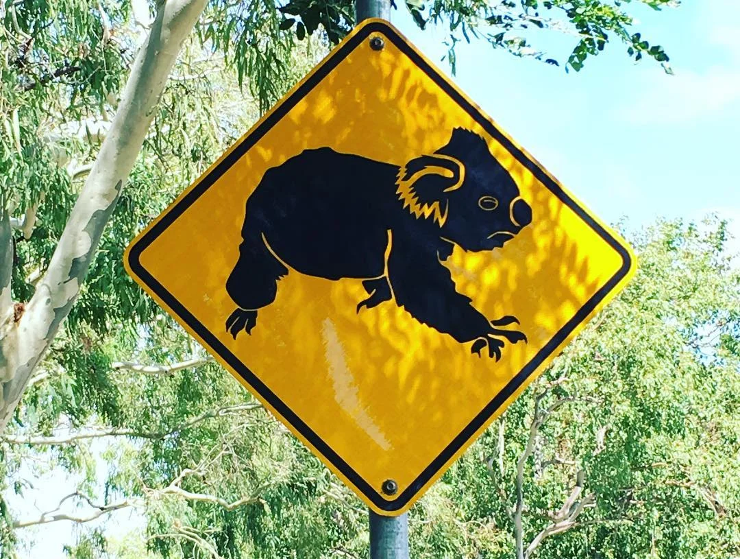 Seen on Magnetic Island